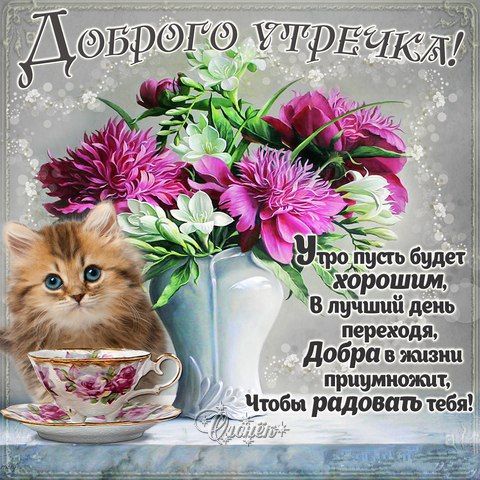 Открытка с добрым утром. Красивые картинки с пожеланиями скачать бесплатно