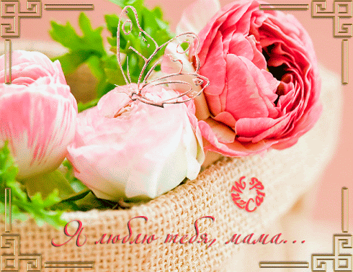 Мама я тебя люблю