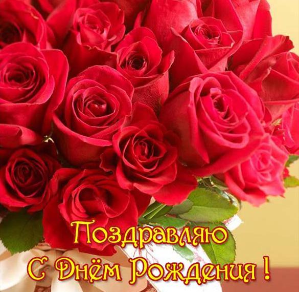 Открытки Красивые открытки поздравляю скачать бесплатно на каждый день Открытки с цветами, анимацией и картинки с текстом поздравляю и наилучшими пожеланиями для родных и близких 