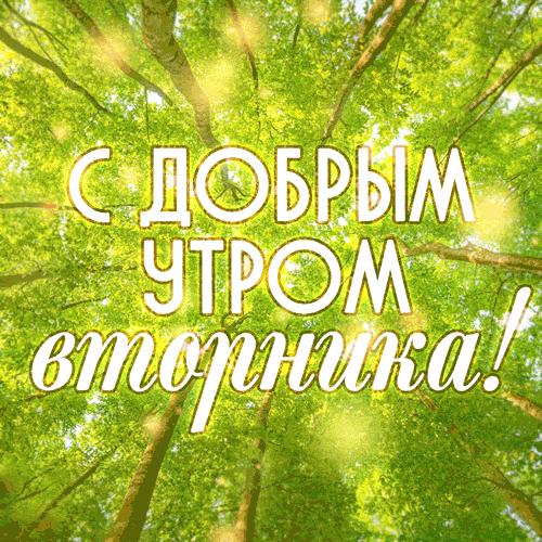 Анимационная открытка с добрым утром вторника
