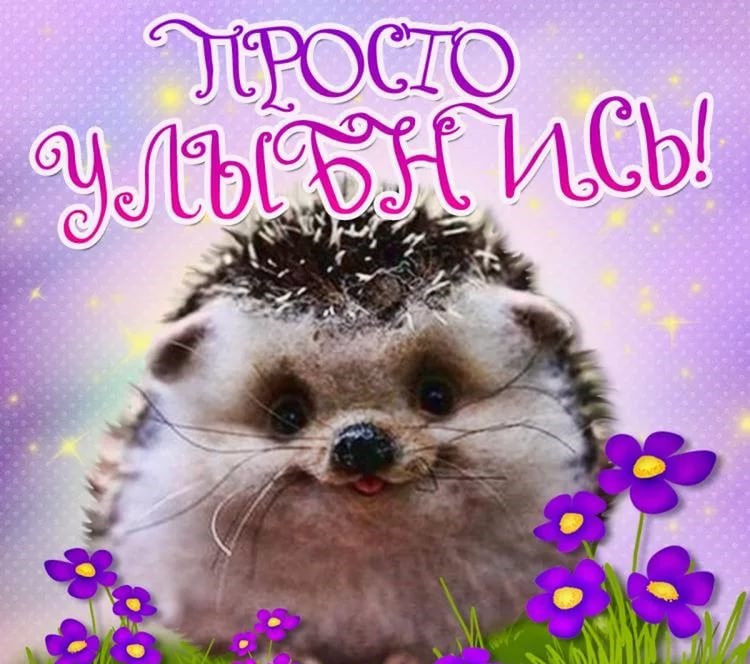 Открытки улыбнись