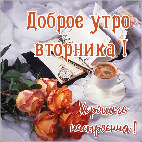 Доброе утро вторника! Хорошего настроения