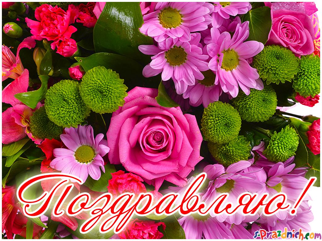 Красивые открытки поздравляю скачать бесплатно на каждый день
