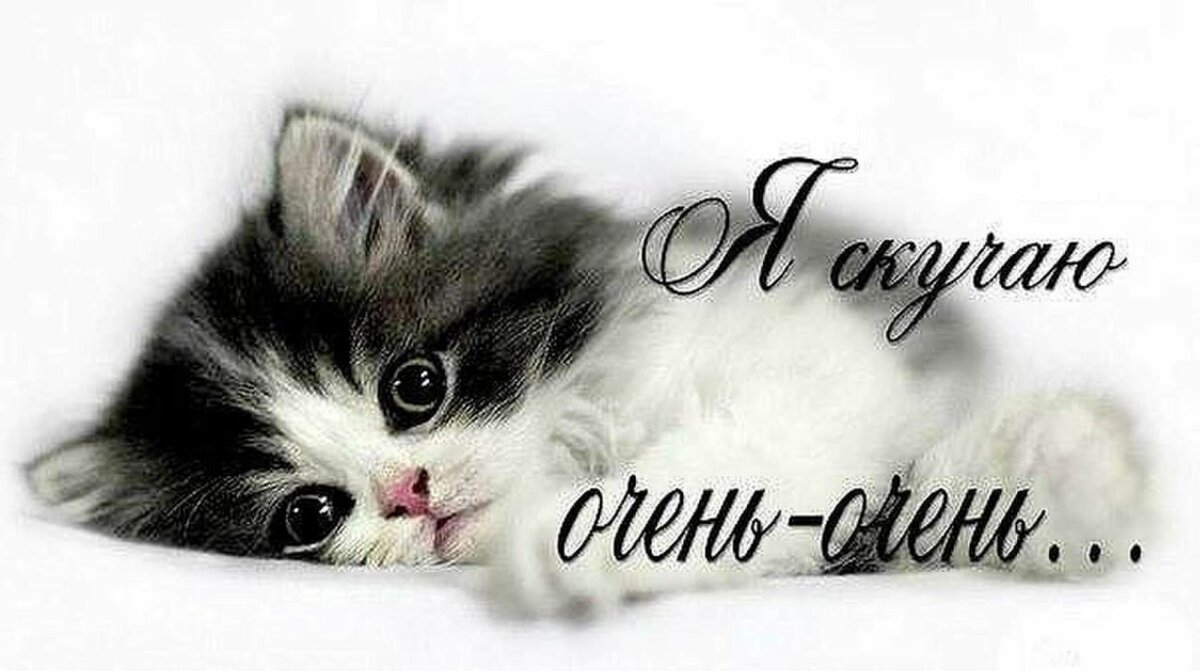 я скучаю очень очень