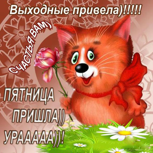 Выходные привела. Счастья вам, пятница пришла. Урааа