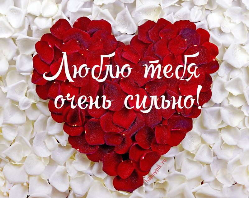 Открытки Открытки люблю скачать бесплатно Красивые картинки о любви для любимых. Скачать для востап. Я тебя люблю 