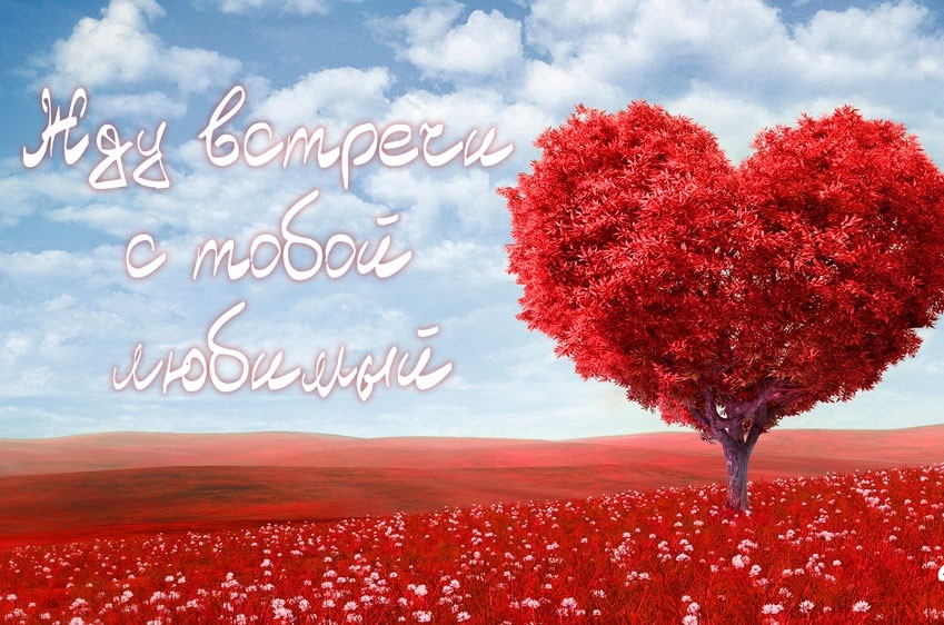 Открытка жду встречи