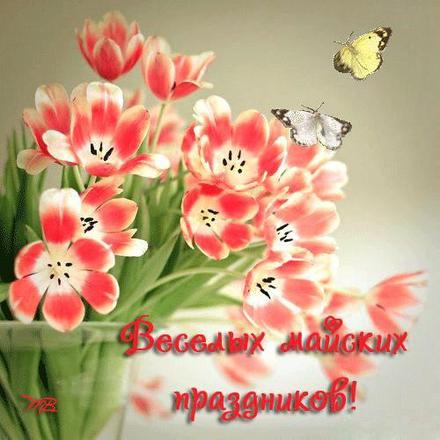 Майский  приветик с нежными цветами и бабочкой 