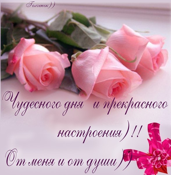 Открытки Добрый день. Удачи, настроения и элементарного везения. 