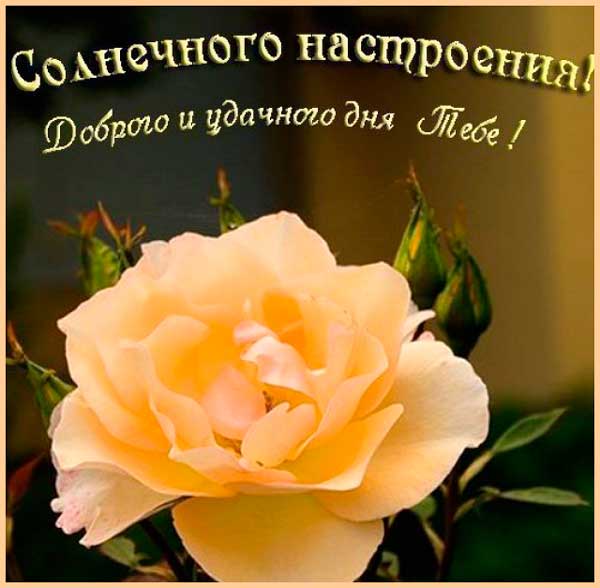 Картинки удачного дня. Пусть день будет очень приятным