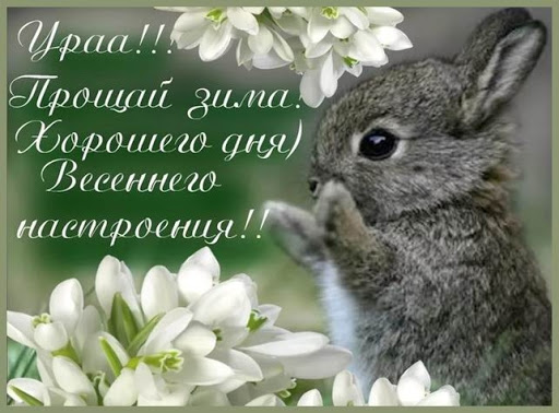 С первым днем весны