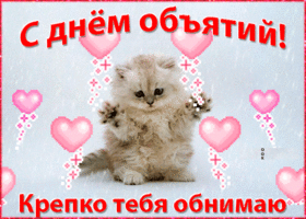 Открытки С днем объятий поздравляю. 21 января. Анимация обнимашки с котом. Котенок вас обнимает. 