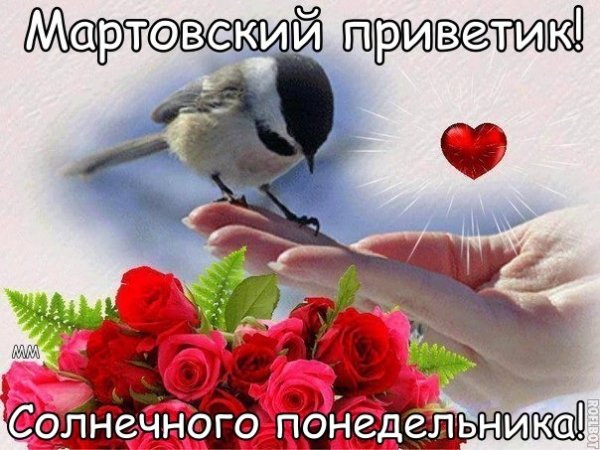 Картинки мартовский приветик скачать бесплатно и поделиться в вотсап