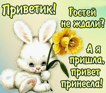Открытки Приветик Гостей не ждали. А я пришла