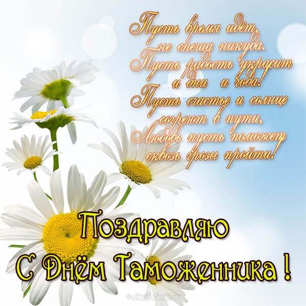 Открытки поздравляю с днем таможенника Открытка со стихами и ромашками. 