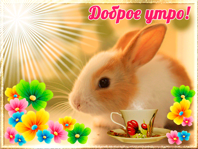Анимационная открытка доброе утро с милым зайцем и яркими цветами 