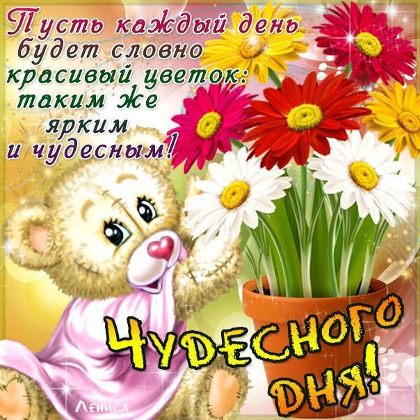 чудесного дня