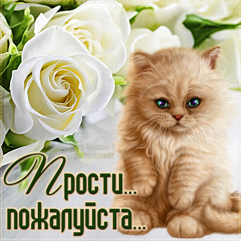 Прости пожалуйста