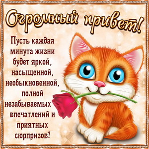 Открытки Приветик Огромный привет со стихами 