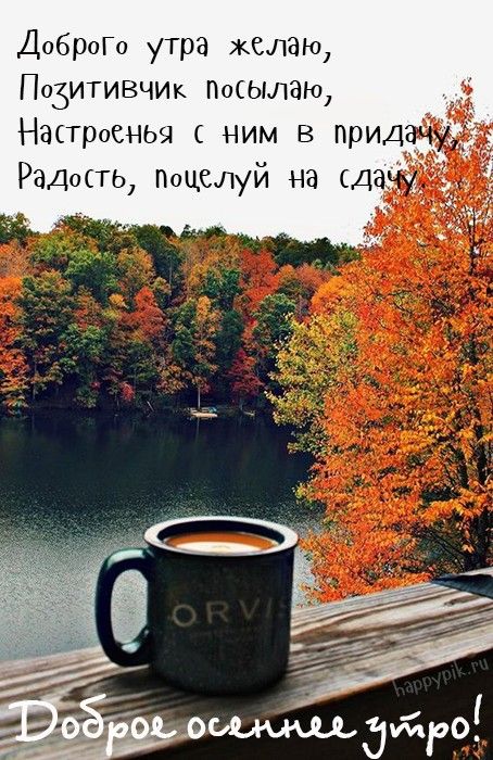 Открытки доброе осеннее утро красивый берег озера на фоне осеннего леса