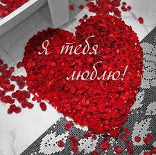 я тебя люблю