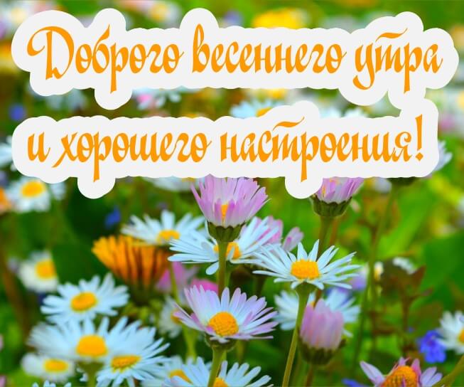 Картинка доброго весеннего утра