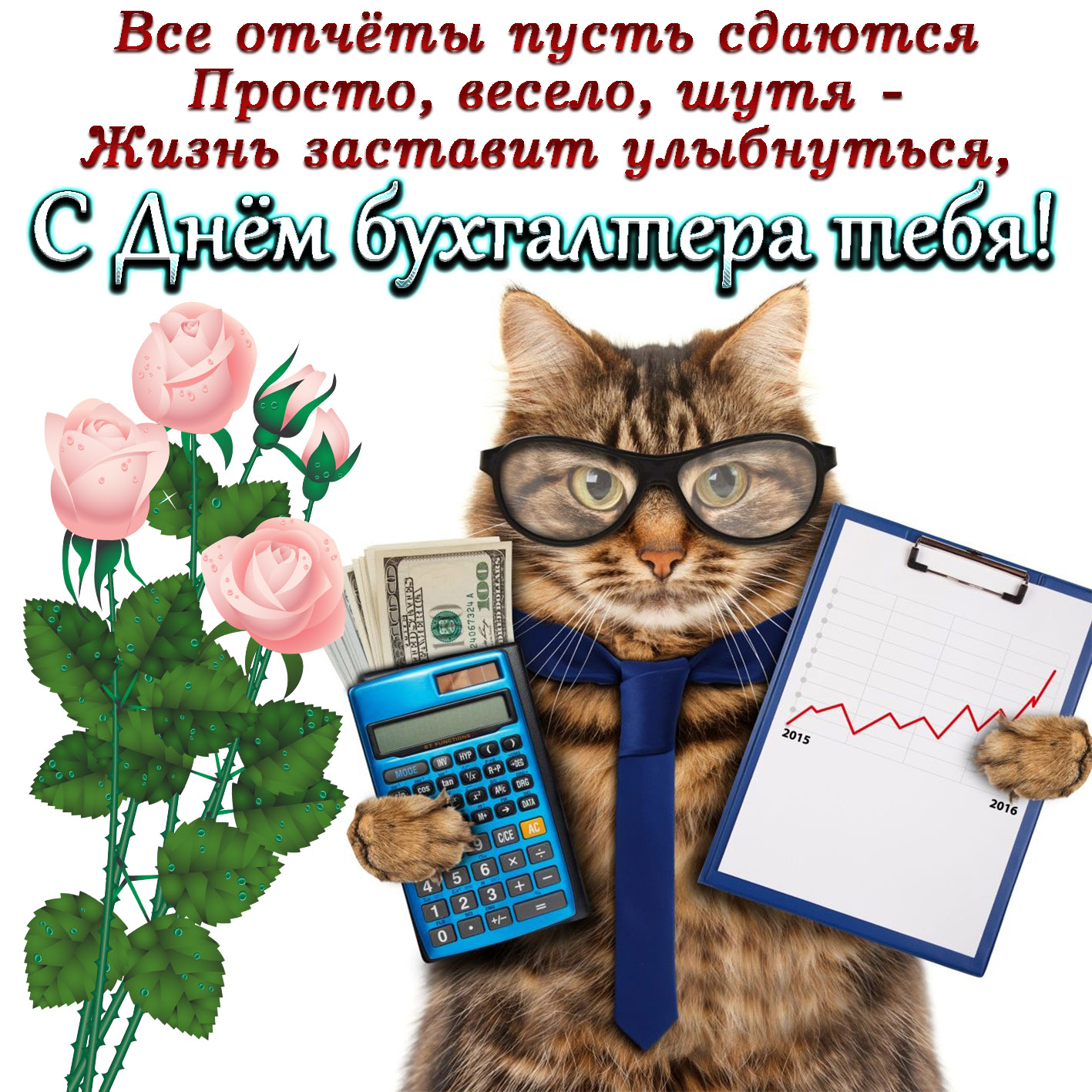 Открытки с днем бухгалтера кот поздравляет и желает процветания