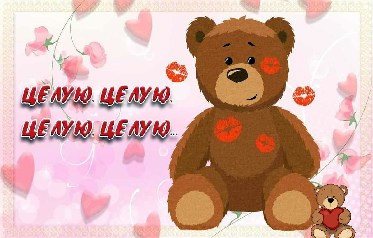 целую тебя много раз