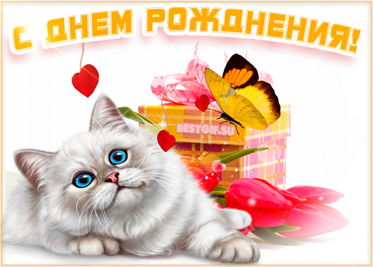 Открытки С днем рождения Анимационная открытка с бабочкой и котом 