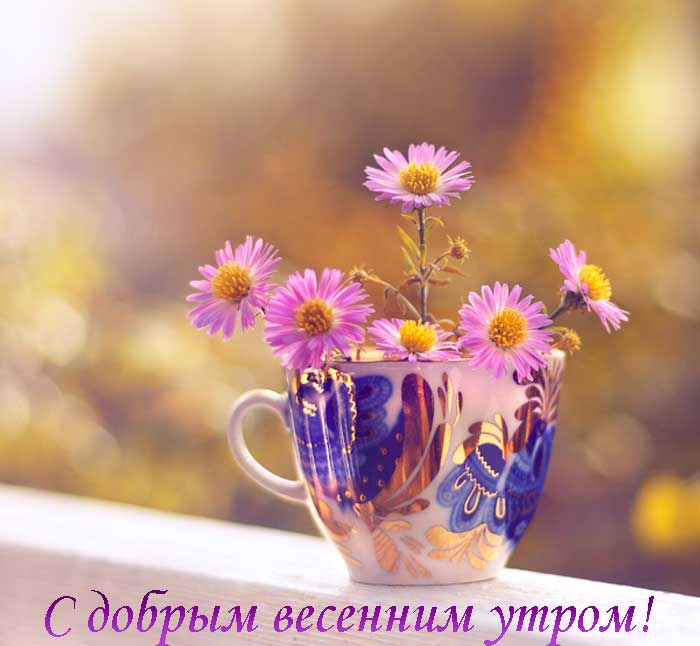С добрым весенним утром.