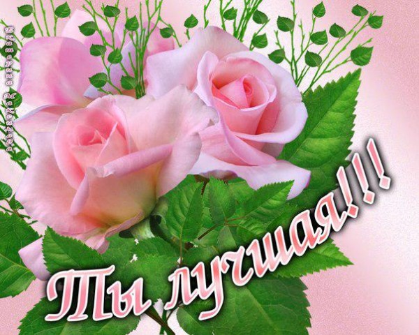 Ты лучшая 