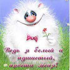 Ведь я белый и пушистый прости меня