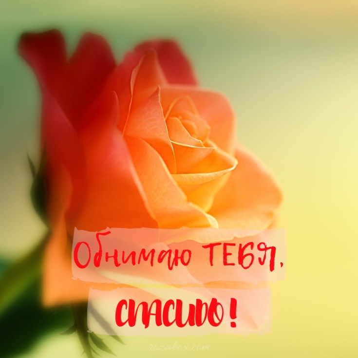 Открытки Обнимаю. Открытки Красивые картинки про объятия для родных и любимых скачать бесплатно