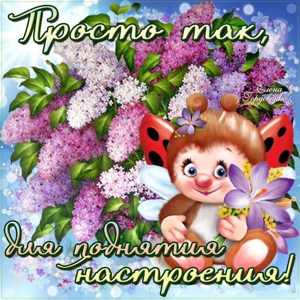 просто так для поднятия настроения 