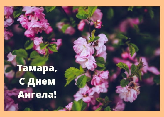 Открытки С днем ангела Тамара Красивые открытки на именины для Томы. 