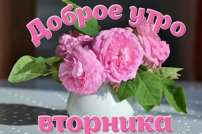 Открытка доброе утро вторник