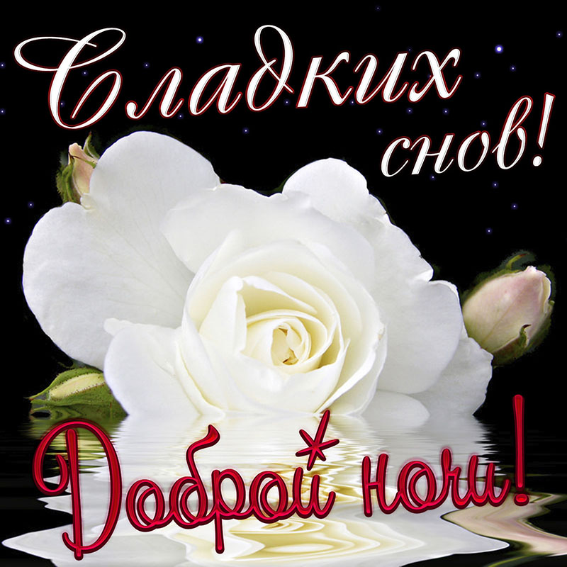 Открытки сладких снов с пожеланиями, котиками, сердечками для родных и близких