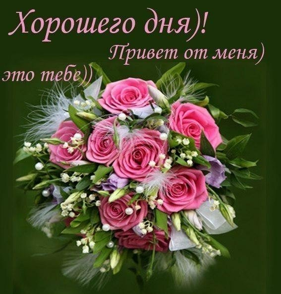 Хорошего дня. Привет от меня