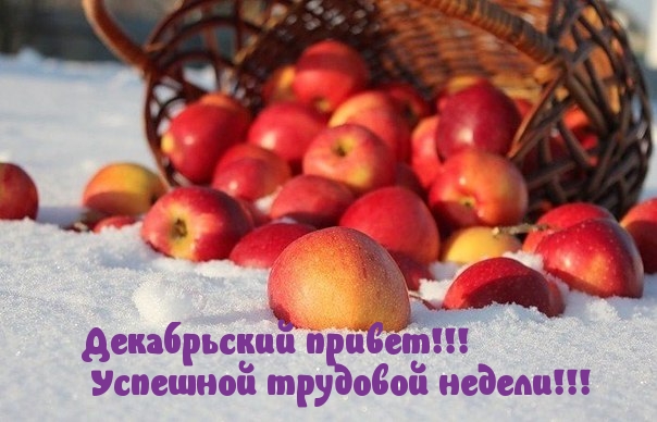 Картинка декабрьский привет. Успешной трудовой недели