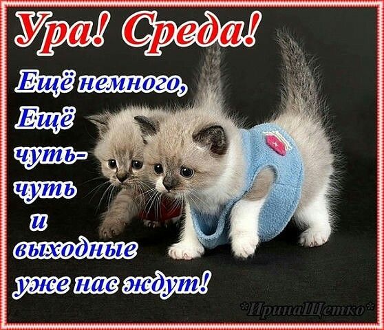 Ура среда! Еще немного еще чуточку и выходные нас ждут.
