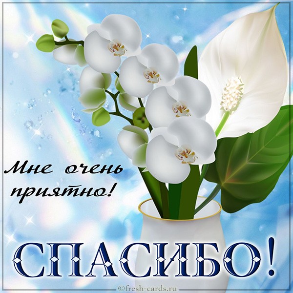 Открытки Мне очень приятно спасибо орхидея в с вазе. 