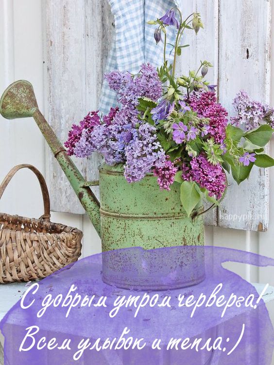 С добрым утром четверга. Открыта с пожеланием улыбок и тепла.