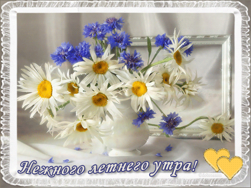 самого доброго летнего утра
