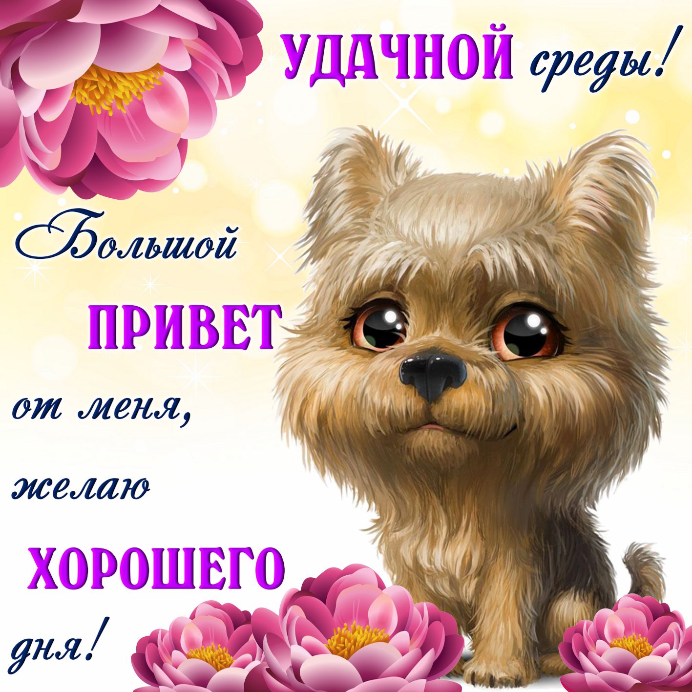 Удачной среды. Открытка с собакой и цветами