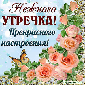 Открытки С добрым утро Нежного утречка и прекрасного настроения с розовыми розами и бабочкой. 