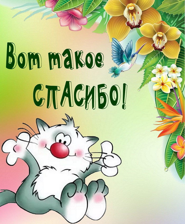 вот такое большое спасибо