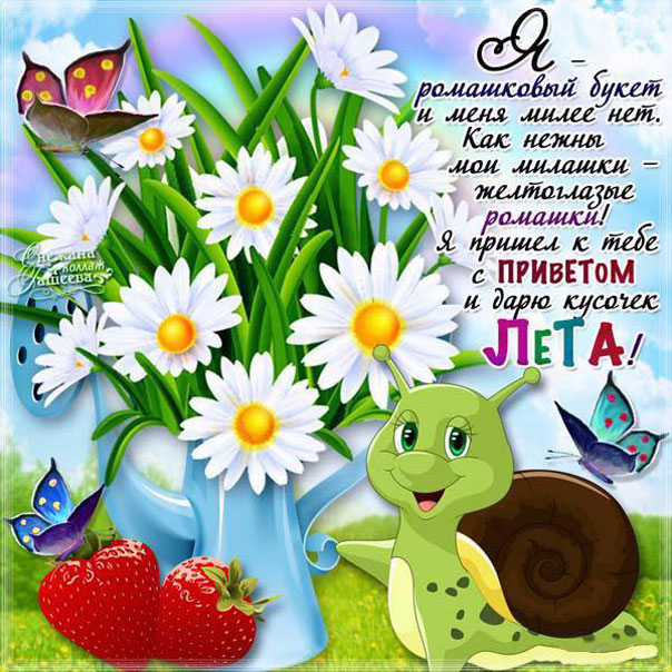Июльский приветик. Картинки
