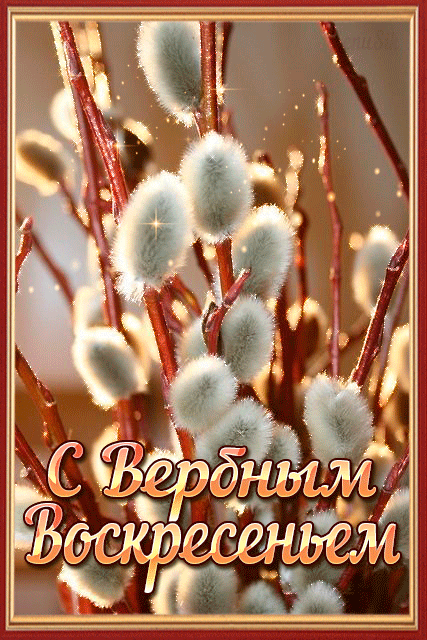 Открытки С вербным воскресеньем Анимационная гифка с вербой. 