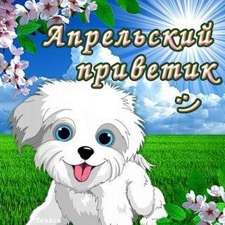 Красивая картинка апрельский приветик с поздравлением