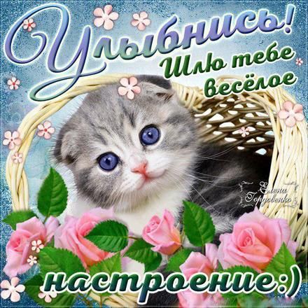 Открытки улыбнись